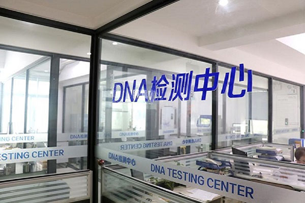 苏州如何优化DNA检测报告模板，提高数据展示效果 